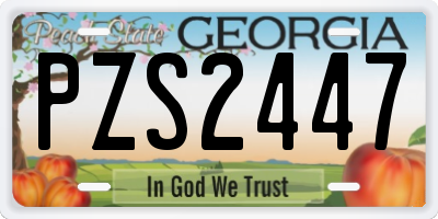 GA license plate PZS2447