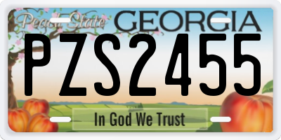 GA license plate PZS2455
