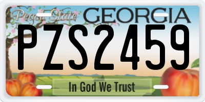 GA license plate PZS2459