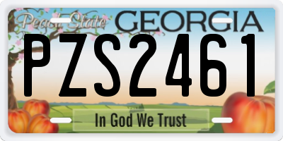 GA license plate PZS2461