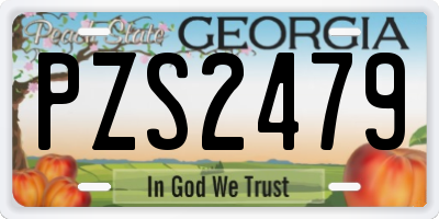 GA license plate PZS2479