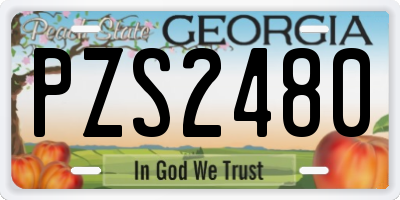 GA license plate PZS2480