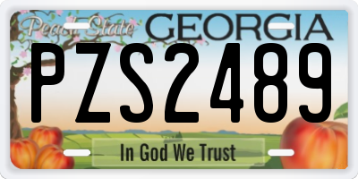 GA license plate PZS2489