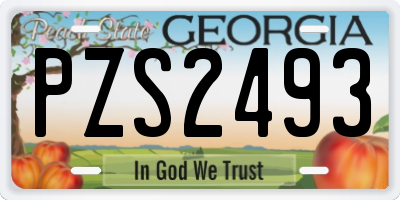 GA license plate PZS2493