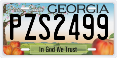 GA license plate PZS2499