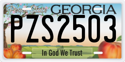 GA license plate PZS2503