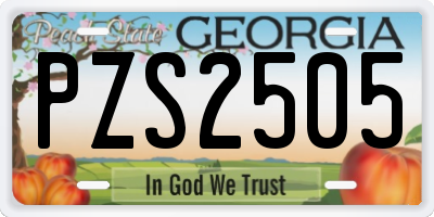 GA license plate PZS2505