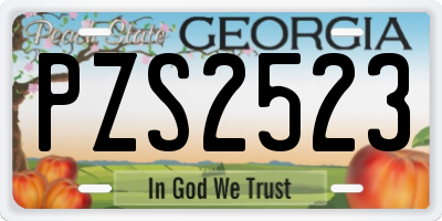 GA license plate PZS2523