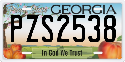GA license plate PZS2538