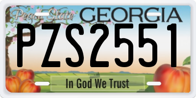 GA license plate PZS2551