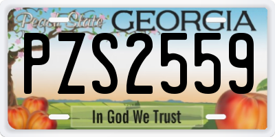 GA license plate PZS2559
