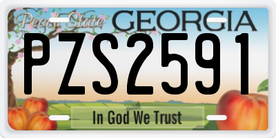 GA license plate PZS2591