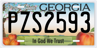 GA license plate PZS2593