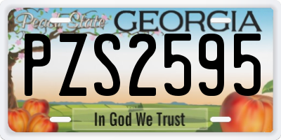 GA license plate PZS2595