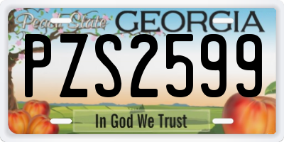 GA license plate PZS2599