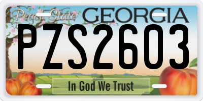 GA license plate PZS2603
