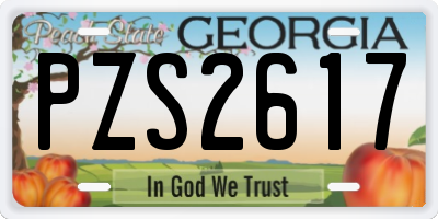 GA license plate PZS2617