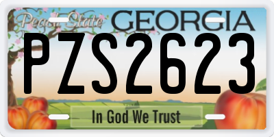 GA license plate PZS2623
