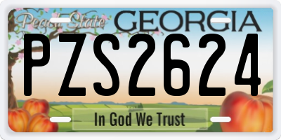 GA license plate PZS2624