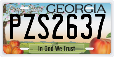 GA license plate PZS2637