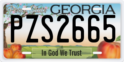 GA license plate PZS2665