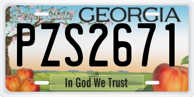 GA license plate PZS2671