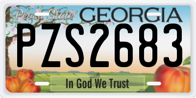 GA license plate PZS2683