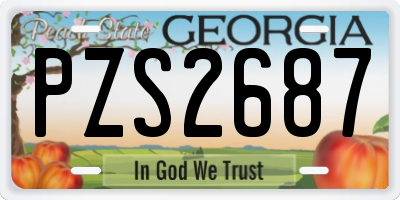 GA license plate PZS2687