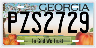 GA license plate PZS2729