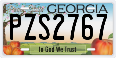 GA license plate PZS2767