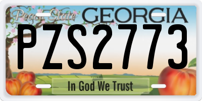 GA license plate PZS2773