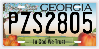 GA license plate PZS2805