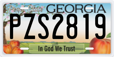 GA license plate PZS2819