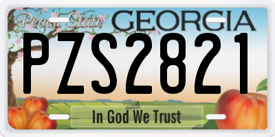 GA license plate PZS2821