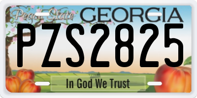GA license plate PZS2825
