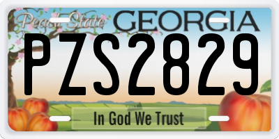 GA license plate PZS2829
