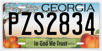 GA license plate PZS2834