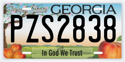 GA license plate PZS2838