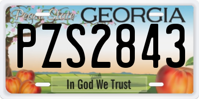 GA license plate PZS2843