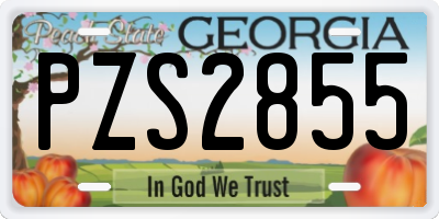 GA license plate PZS2855