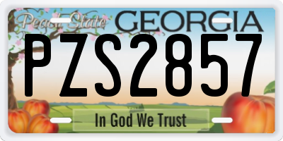 GA license plate PZS2857