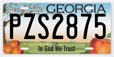 GA license plate PZS2875