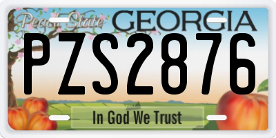 GA license plate PZS2876