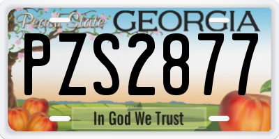 GA license plate PZS2877