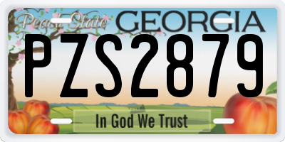 GA license plate PZS2879