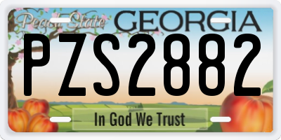 GA license plate PZS2882