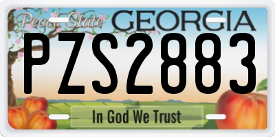 GA license plate PZS2883