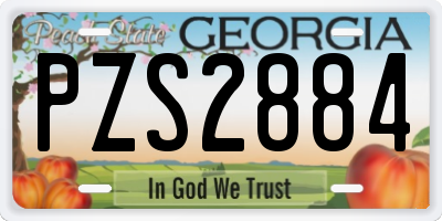 GA license plate PZS2884