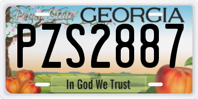 GA license plate PZS2887