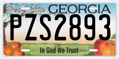 GA license plate PZS2893